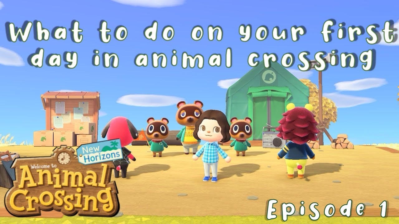 what to do on your first day in Animal Crossing: New Horizons