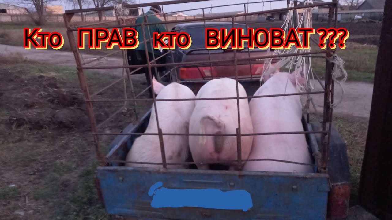 С МЯСНИКОМ вопрос закрыт❗️ Больше никаких ЗАЛЁТНЫХ❗️