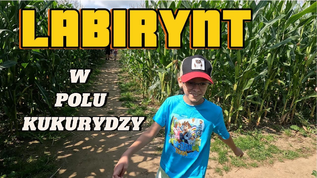 Labirynt w polu kukurydzy, Władysławowo