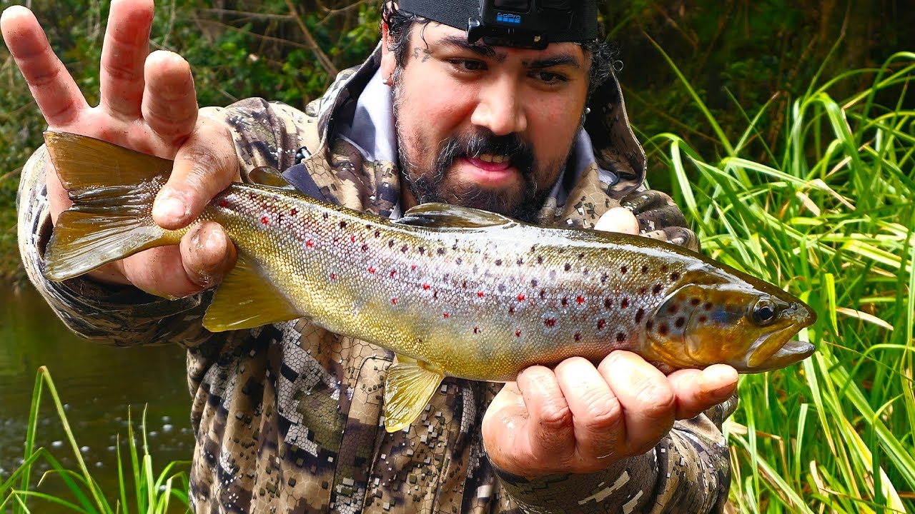 Pesca en río lleno de truchas FARIO 🚀 | Equipo UL y LIGHT 🔥
