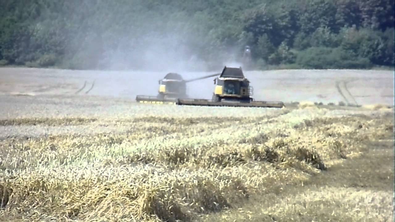 AGROHANDEL - Usługi rolnicze