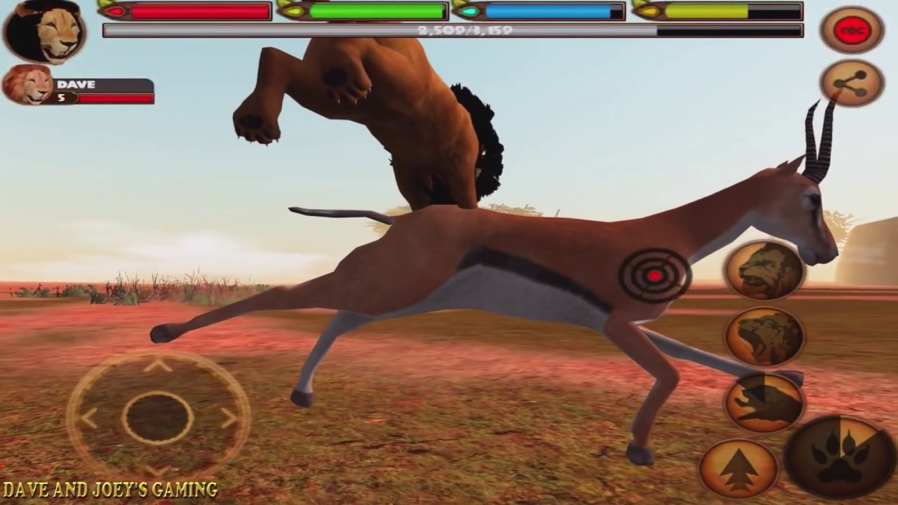 Lion VS Lion, Hyena, Cheetah, Water Buffalo, Hippo, Rhino, Gazelle, Ultimate Lion Simulator