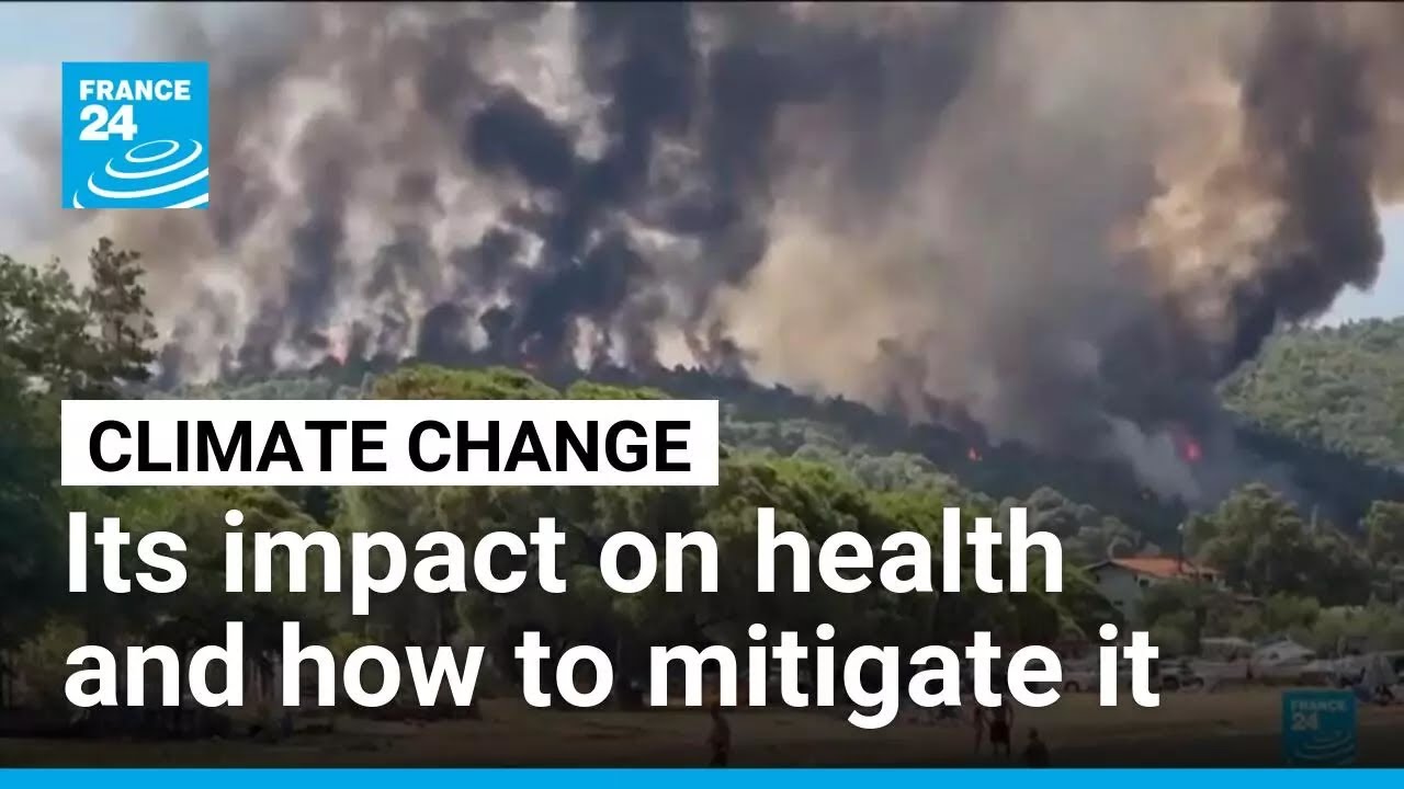 How climate change is affecting our health, and what can be done about it &bull; FRANCE 24 English
