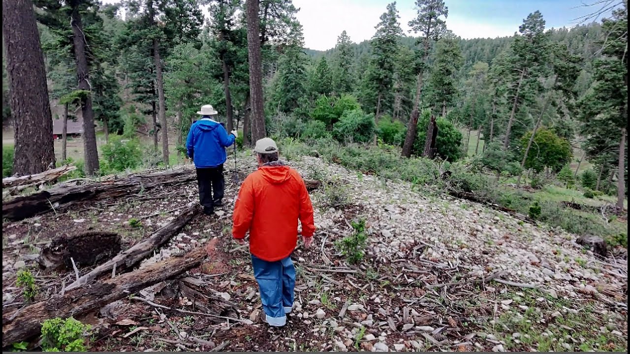 Sacramento Mountains, NM - A ridgeline hike -  July 17, 2025