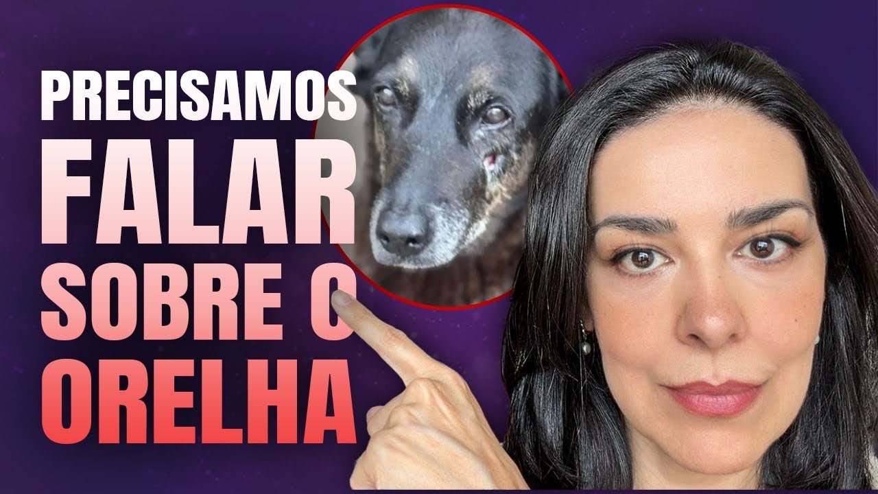 ORELHA: A SOMBRA da COLETIVIDADE num ÚNICO EVENTO 