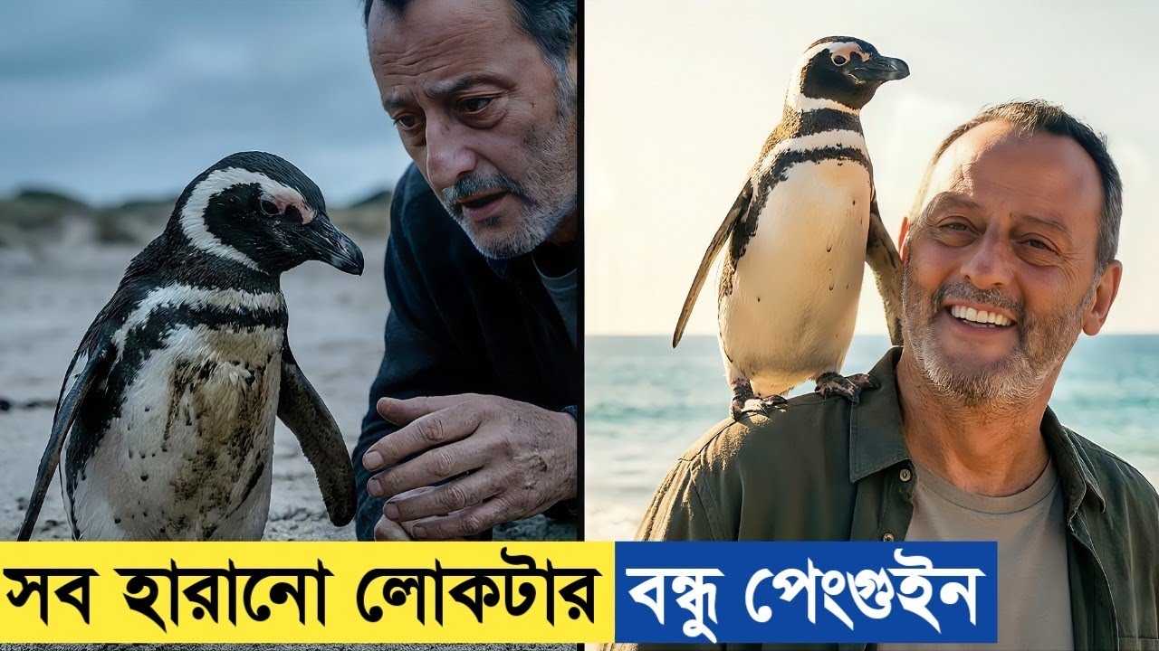 ৮০০০ কিলোমিটার দূর থেকে পেঙ্গুইনটি আসে শুধুই তাকে দেখার জন্য! সত্য ঘটনা 😯 Movie Explained. 