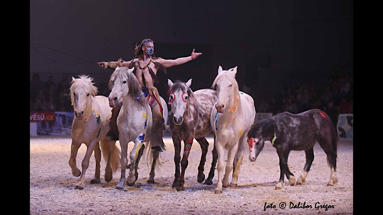 Haraldos Stunt Brothers-Geronimo