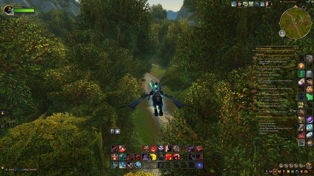 Disable skyriding (dragonriding) for flying mounts WoW