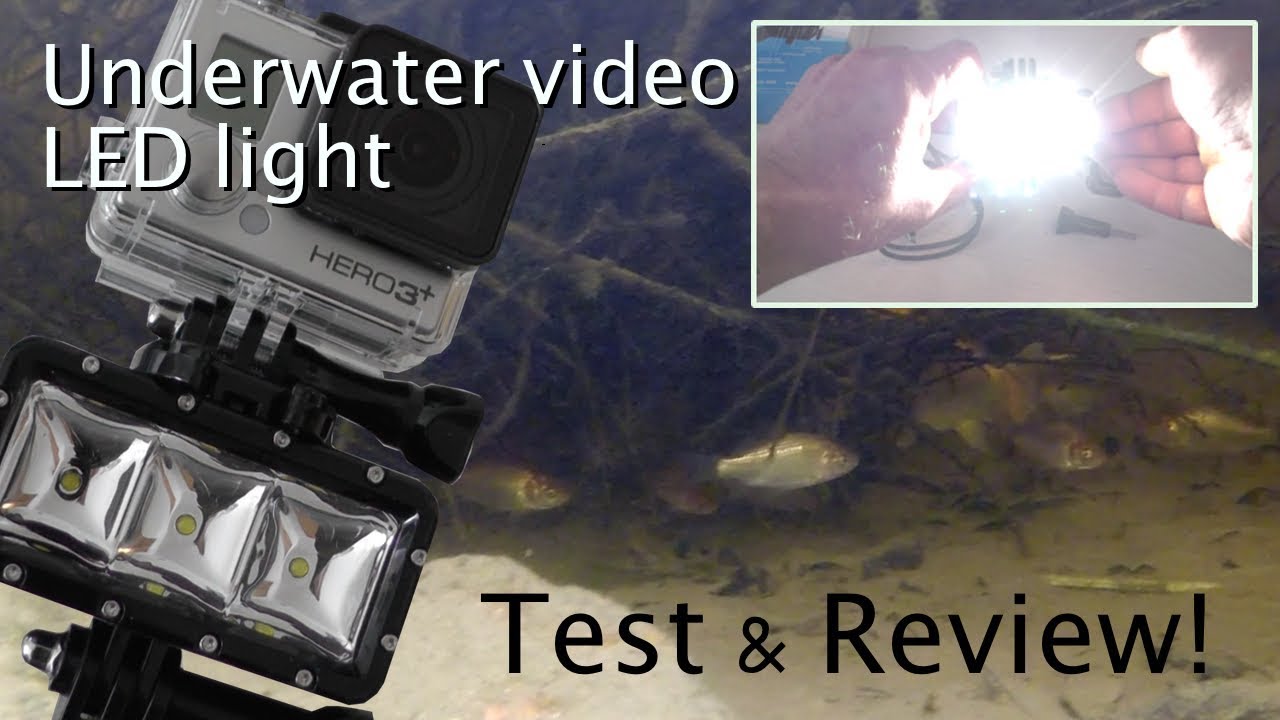GoPro with Suptig Underwater Video Light in Pond - Test & Review