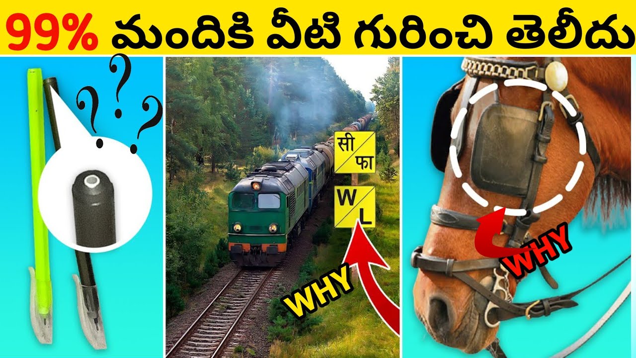 🔰99% మందికి వీటి గురించి తెలీదు ll 🔥Top & interesting amazing facts in telugu 