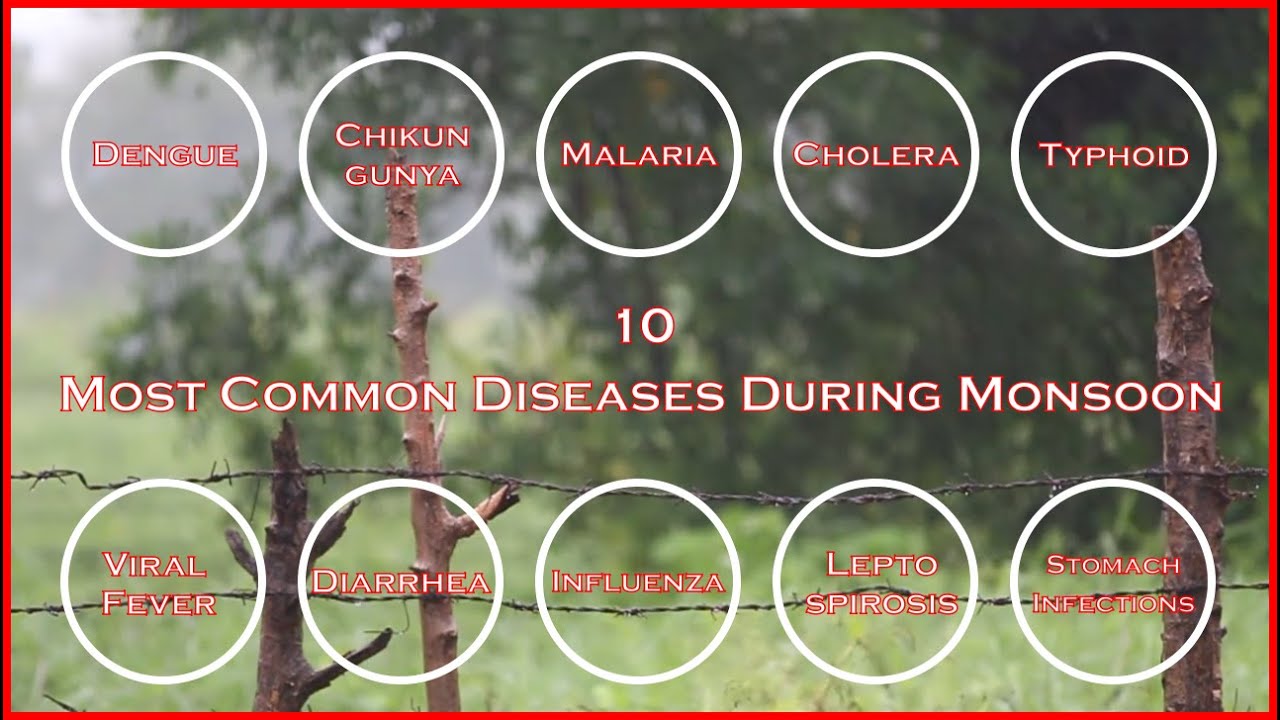 10 Most Common Diseases During Monsoon | Diseases of Rainy Season | Wise Nest