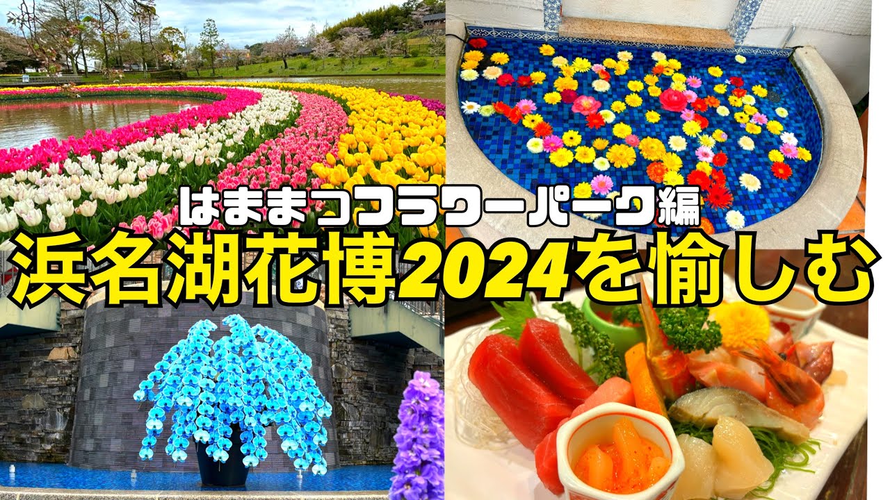 浜松観光 浜名湖花博2024 はままつフラワーパーク グルメ 観光 モデルコース 犬 アクセス 噴水 バラ 藤 ガーデニング