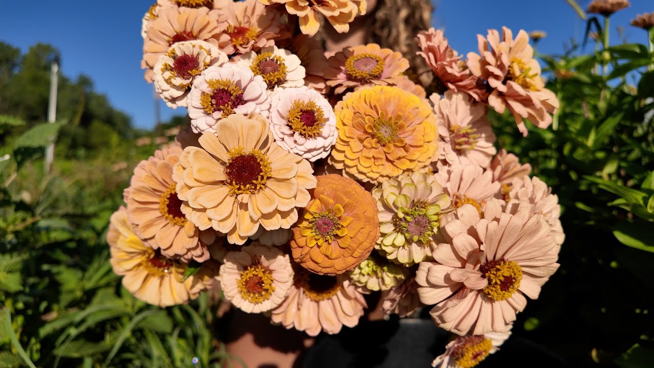 How Much Can I Make at My Farmstand in One Weekend?