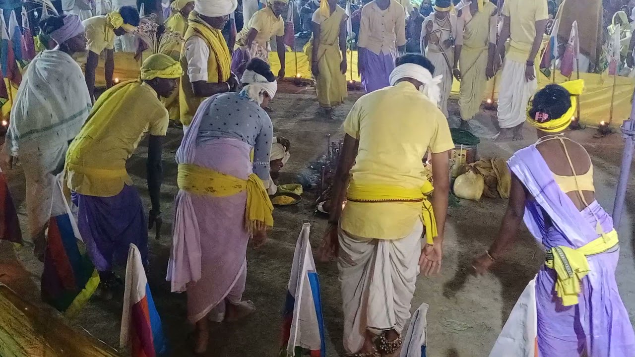 रि रीना रिना मोर हीरा दादा ये धरती म ले ले अवतार | सांस्कृतिक कार्यक्रम तिवरता | gondvana video