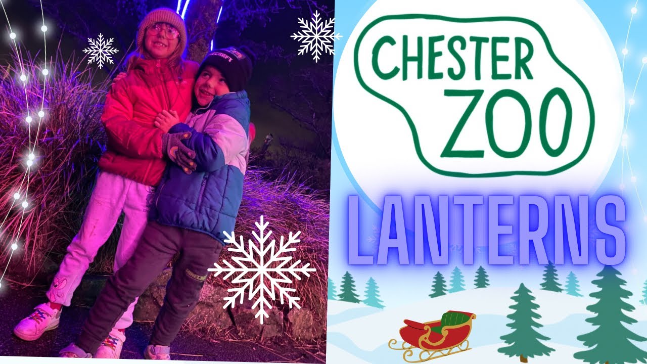 Chester Zoo Christmas Lanterns 2024