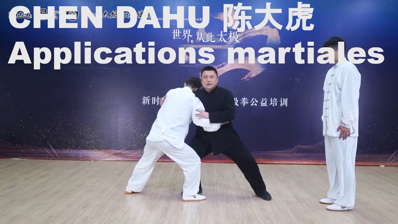Applications martiales avec Me Chen Dahu (陈大虎)
