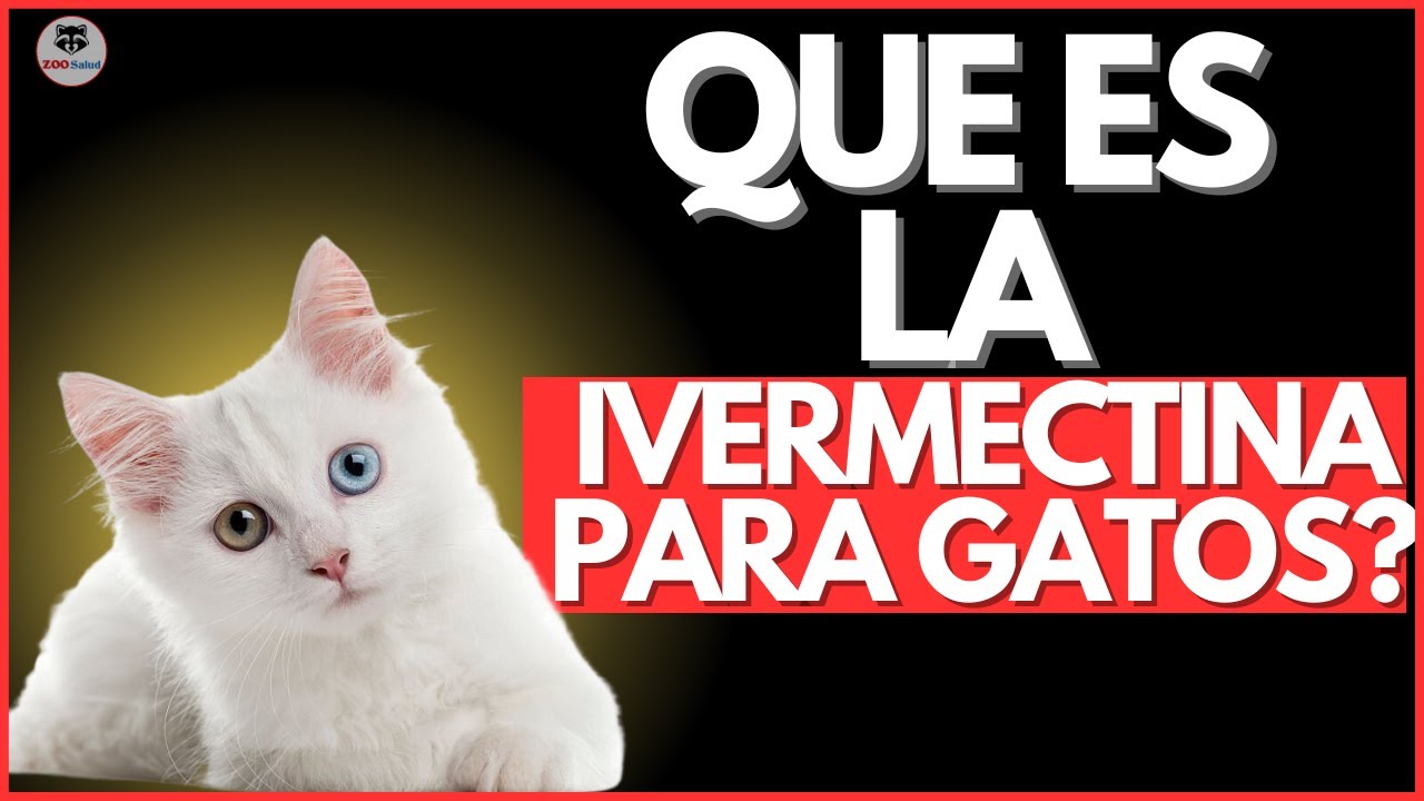 Es SEGURA la IVERMECTINA para mis GATOS ?