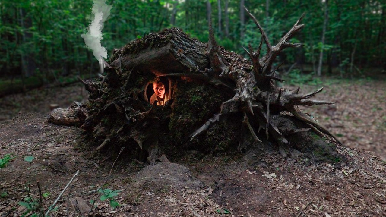 Building a cozy shelter from roots