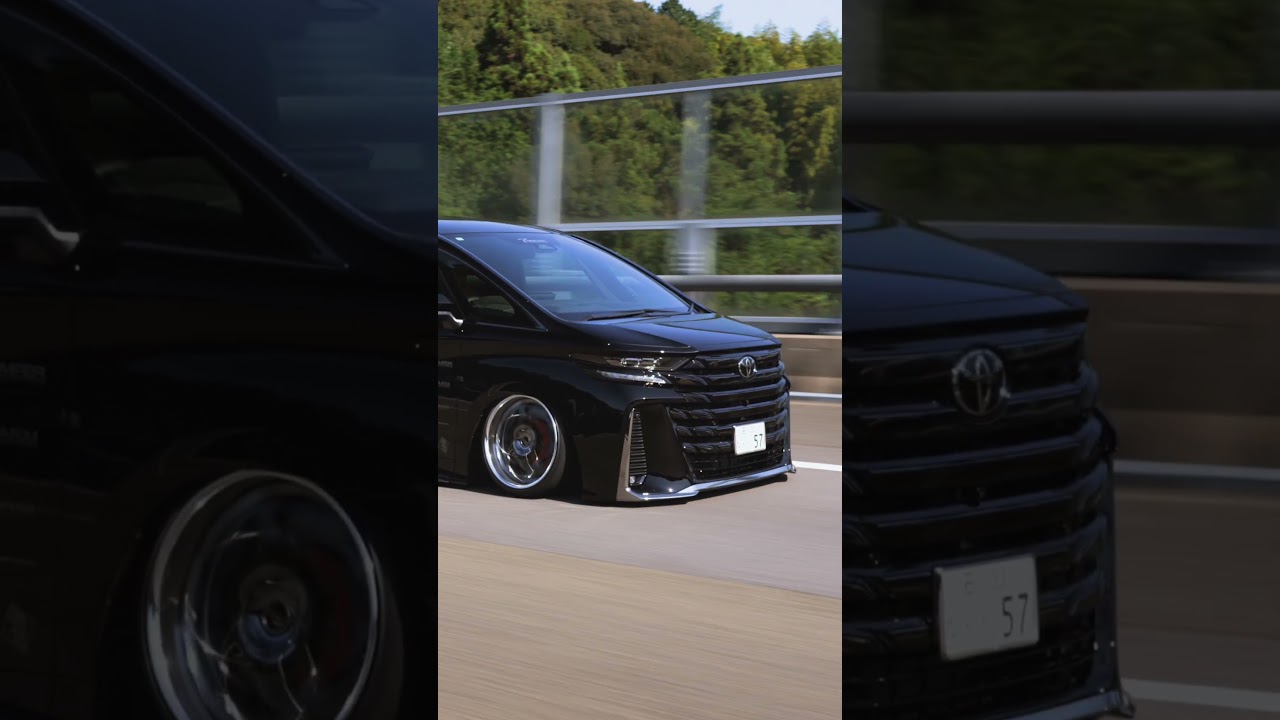 T-DEMAND 40VELLFIRE BLACK PITBULL #shots  #automobile #stance#automobile #nitto
