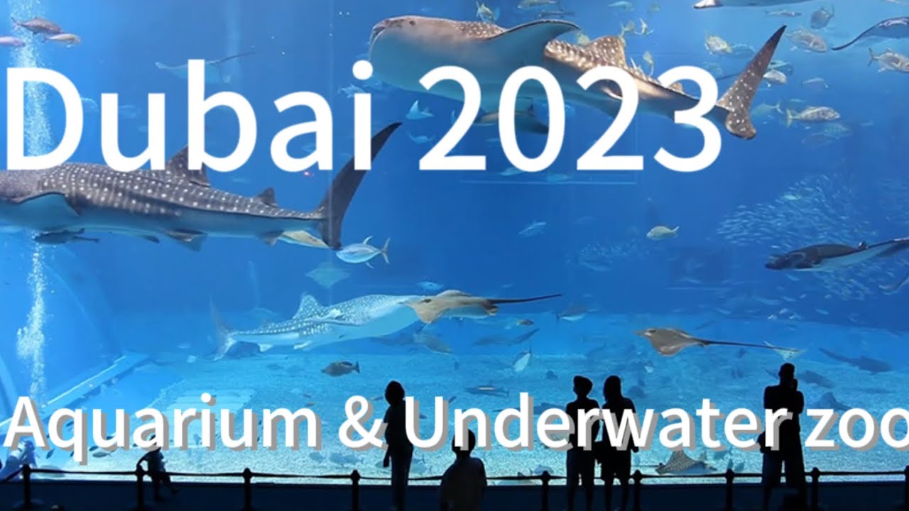 Dubai 🇦🇪 Aquarium & Underwater zoo | Dubai Mall | Tourist attractions | 2023
