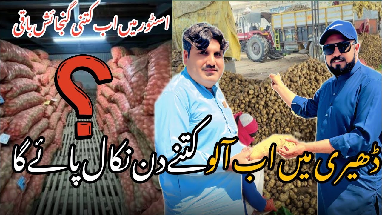 Jin Logon Ne abi tk Aloo Sale nii kia Un ko ab Kia Krna Chaye Mufeed Mashwary |ColdStore m junjaish?