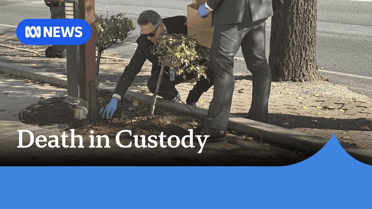 SA man dies after becoming unresponsive during attempted arrest in May | ABC NEWS