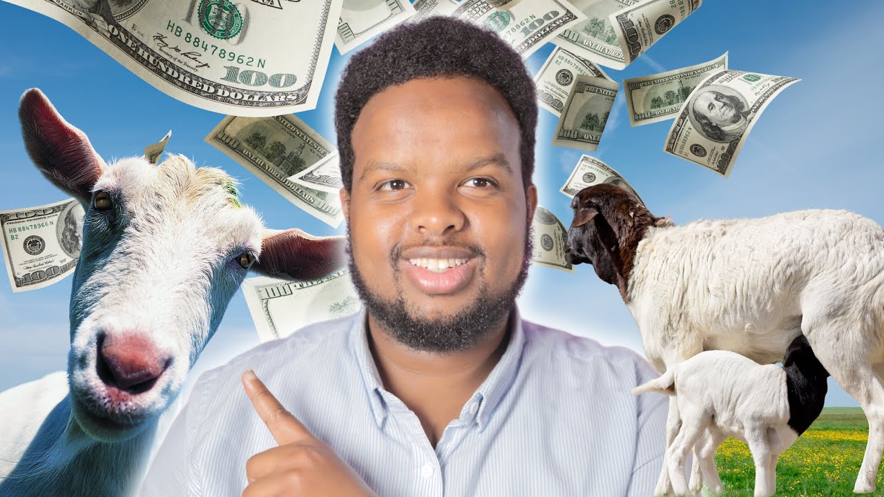 500 DOOLAR BILKASTA XOOLAHA KA SAMEE 3 QAAB