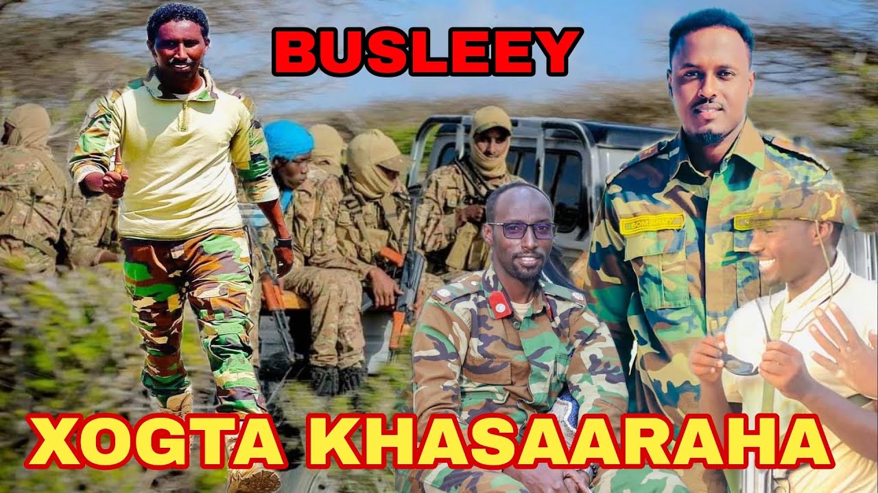 Wararkii u dambeeye khasaaraha dagaalkii Busleey, Saraakiil Dhaawaca & Dhiimasho xog..