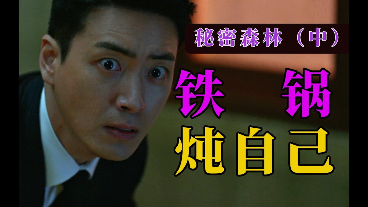 剧TOP：铁锅炖自己？豆瓣9.3高分韩剧《秘密森林》（中）