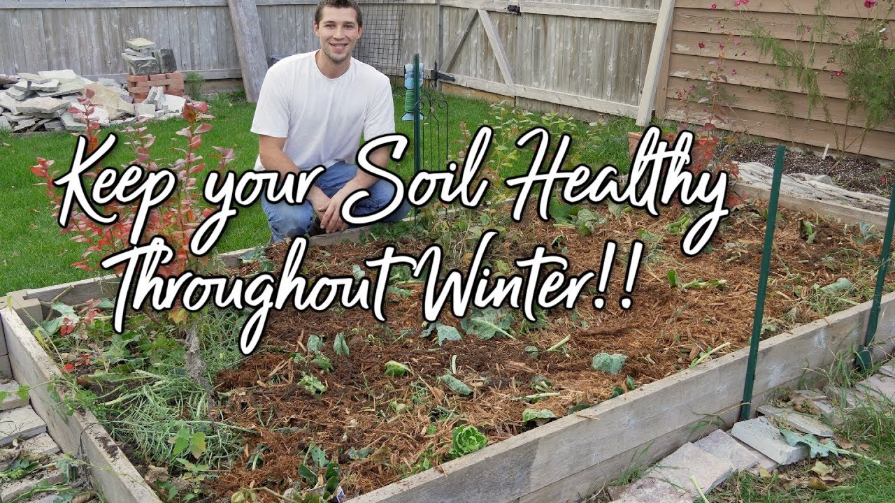 The MOST NATURAL Way to Prepare Your Vegetable Garden Bed For WINTER