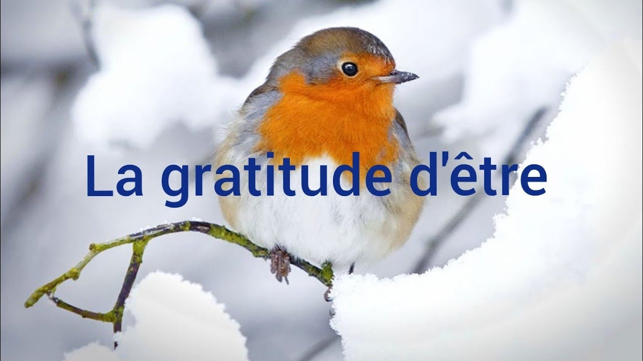 La gratitude d'être 