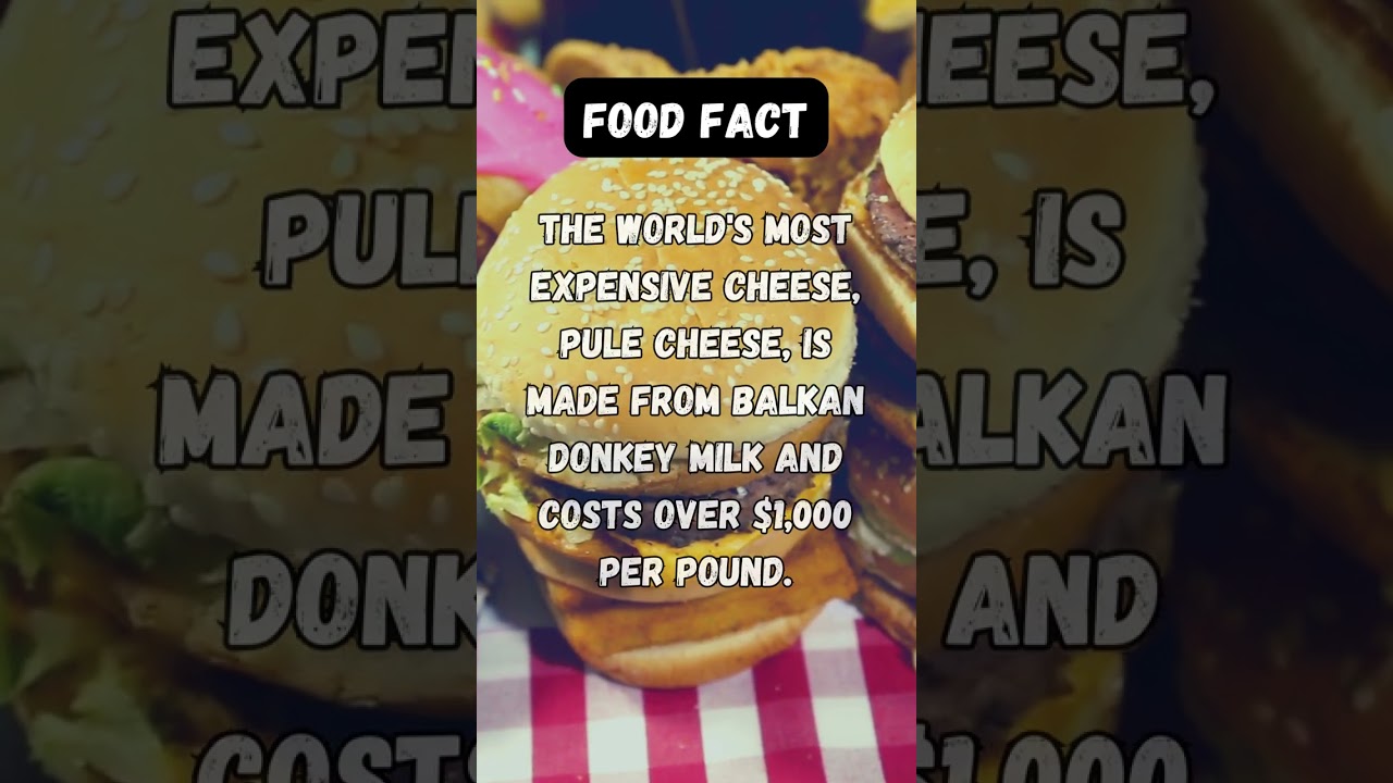 The world's most expensive cheese, Pule cheese, is made from Balkan donkey milk and c...