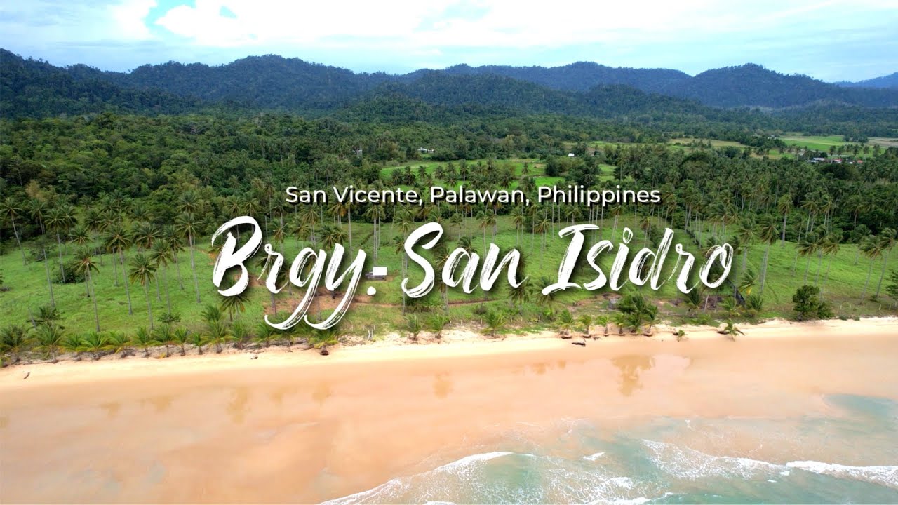PALAWAN BEACH FRONT LOT FOR SALE ALONG SAN VICENTE LONG BEACH