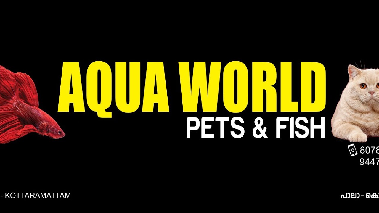 AQUA WORLD PALA | PET SHOP KERALA | PALA