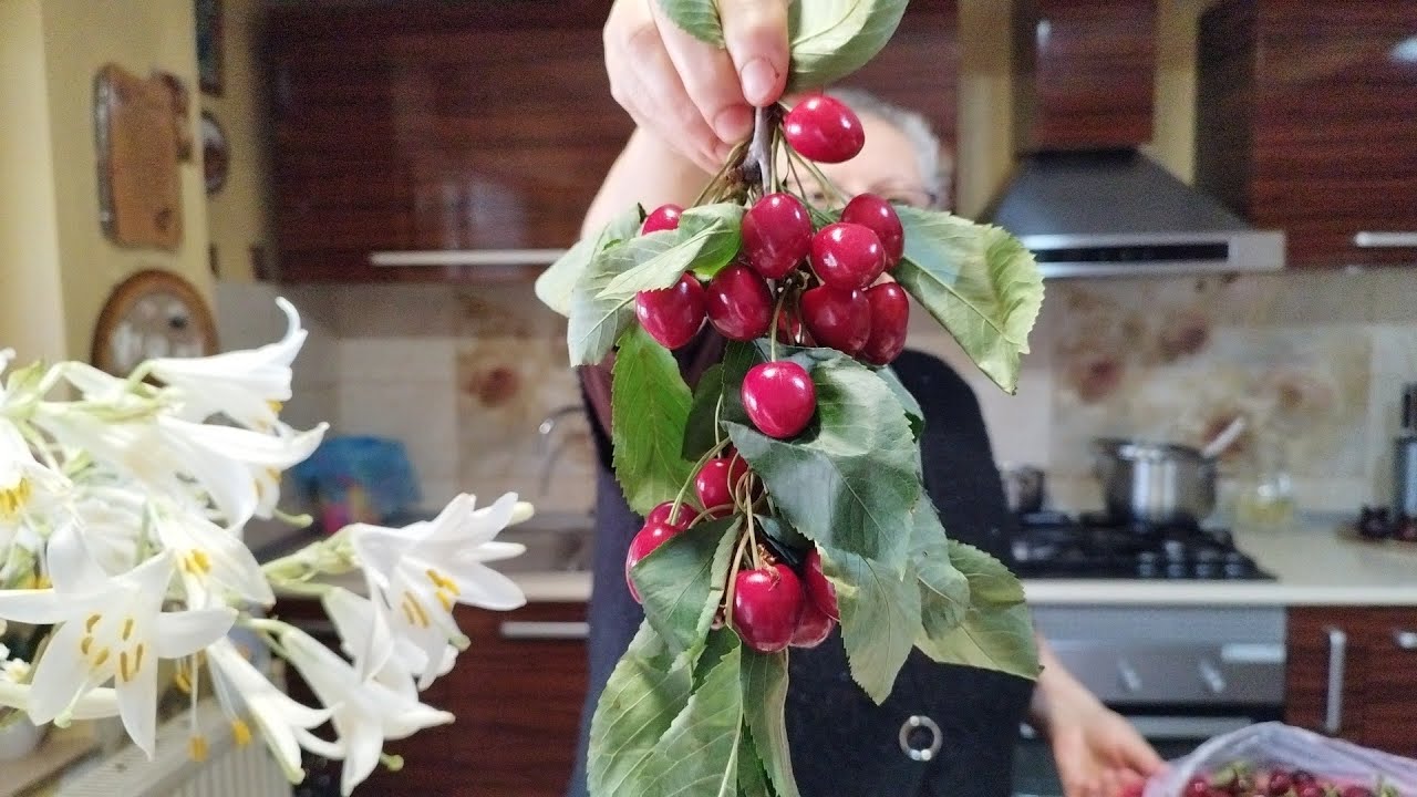Compot de Cirese și Vișine de la Bunica 🍒