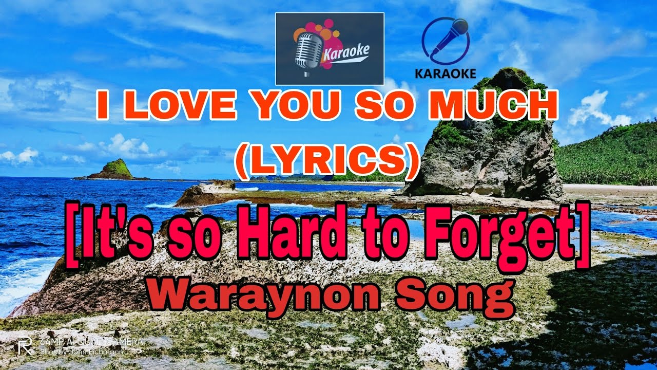 I LOVE YOU SO MUCH LYRICS [ It's so Hard to Forget ] Waray Waray Song