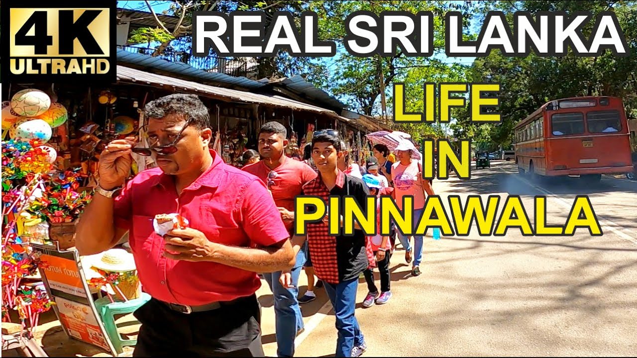 Silent Walk: Pinnawala, Sri Lanka: Exploring the Streets, Sounds, and Elephant Orphanage