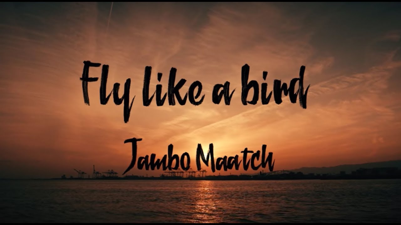 FLY LIKE A BIRD / JUMBO MAATCH  -Music Video-