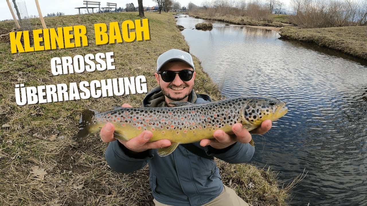 Forellenfischen am Bach - kleines Gewässer, große Fänge!🎣❤️