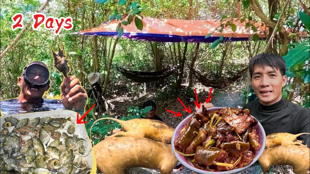 Thử thách hoang dã, 2 ngày lên núi xuống biển tìm kiếm thức ăn RỪNG BIỂN | 2 Days survival camping