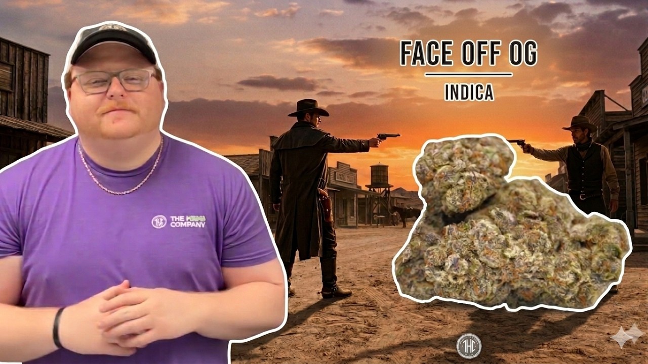 Face Off OG Strain Review: The Heavy-Hitter You've Been Waiting For?