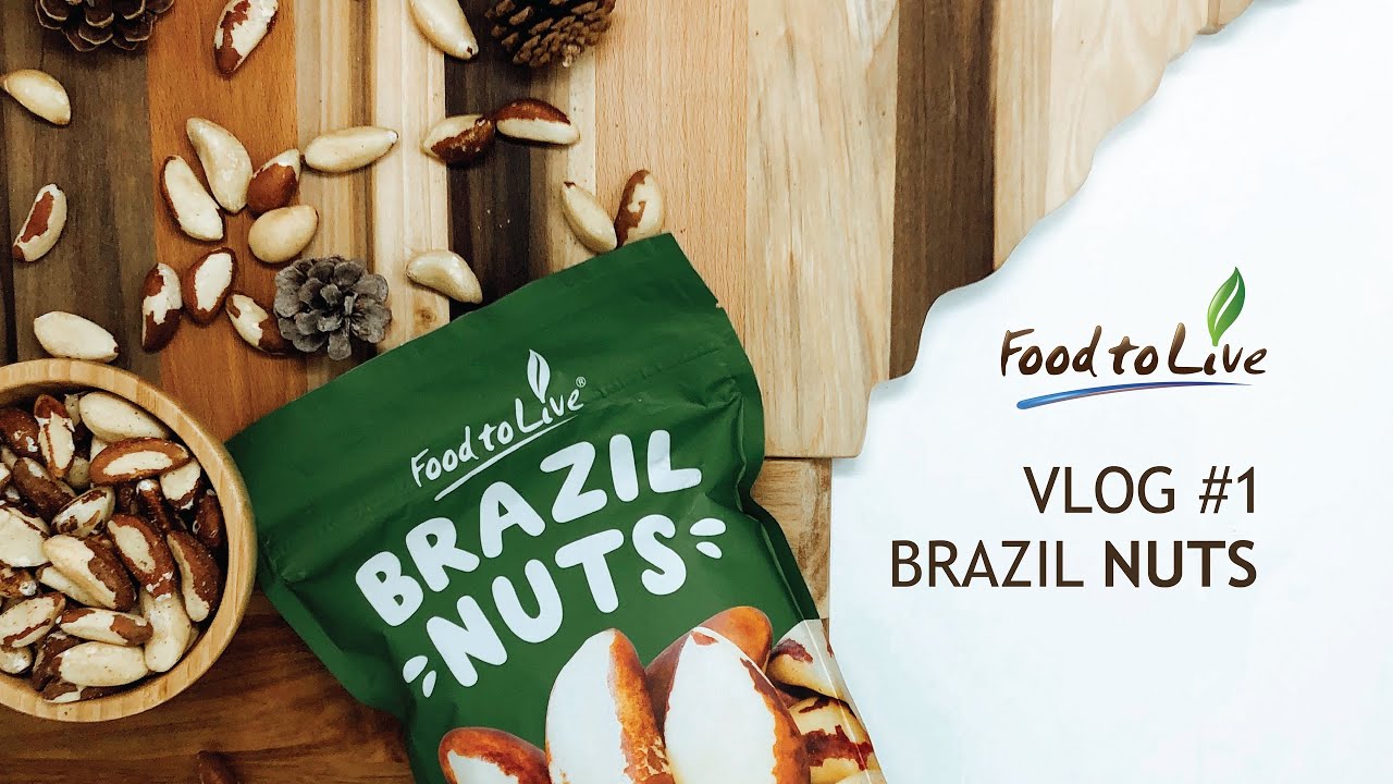 WHY BRAZIL NUTS ARE SO SPECIAL