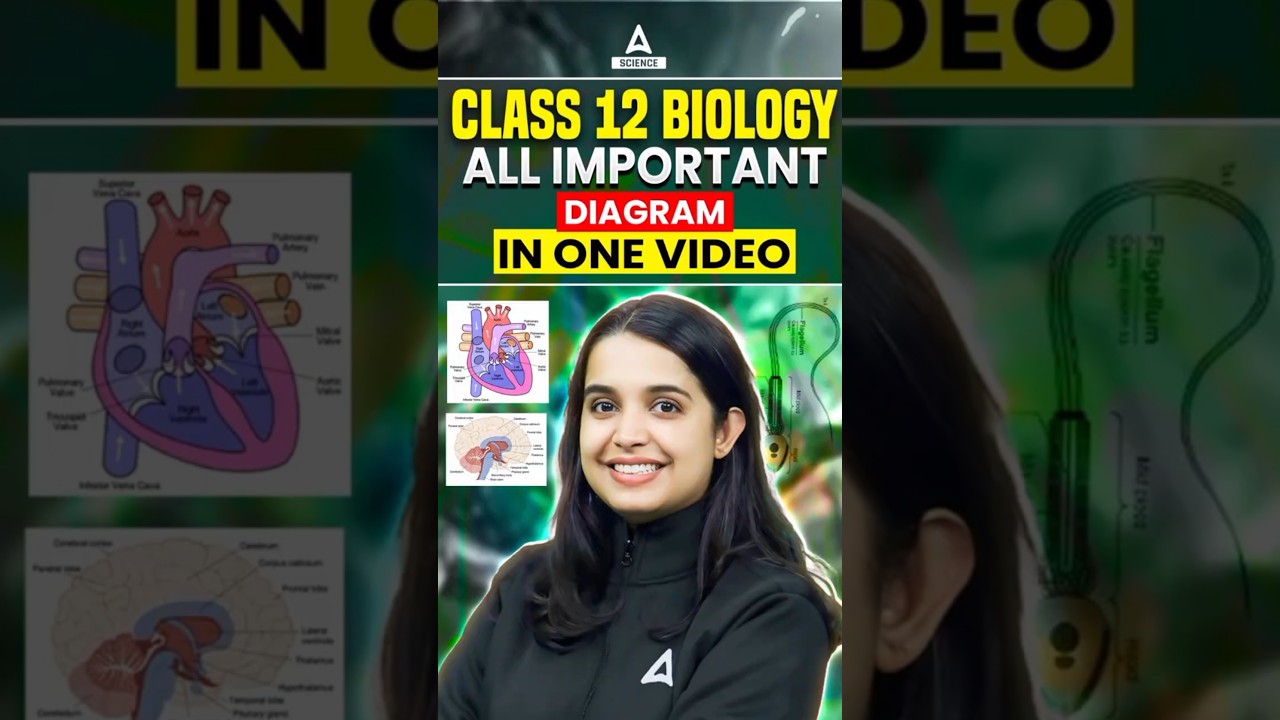 Class 12 Biology | All Important Diagrams in One Video 🔥#shorts #biology