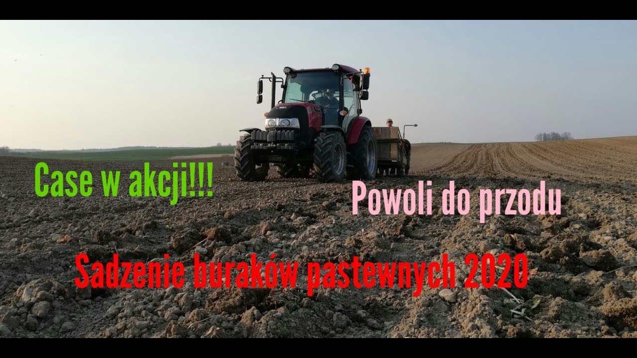 Sadzimy buraki pastewne na nasiona!!!Case Farmall 75A/John Deere 6910/Unia Kombi XL/GoPro Hero7Black