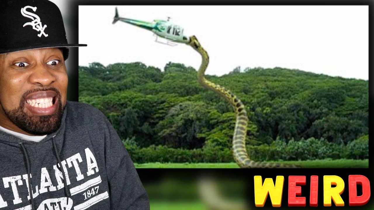 They Captured in the Amazon What No One Was Supposed to See...