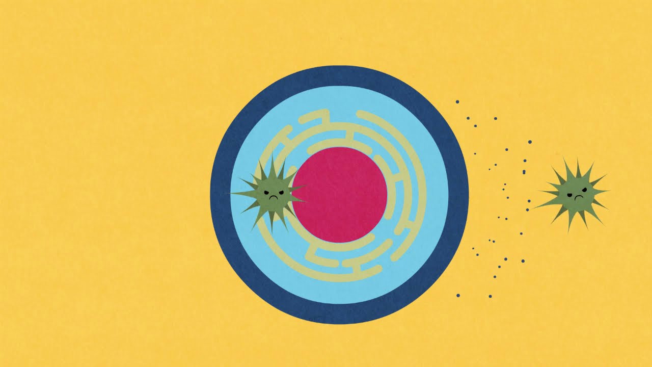Science in 1 minute: How the viruses attack us?