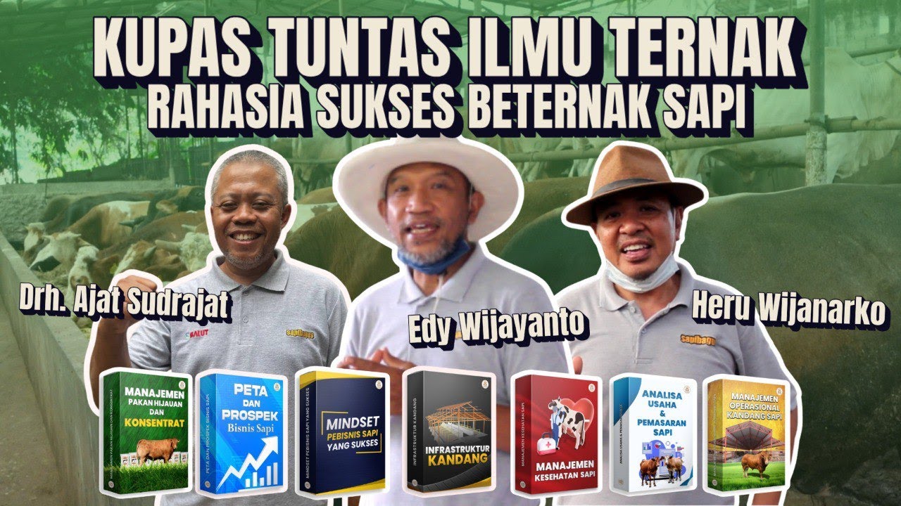 Kupas Tuntas Ilmu Ternak Rahasia Sukses Beternak Sapi dengan E Course
