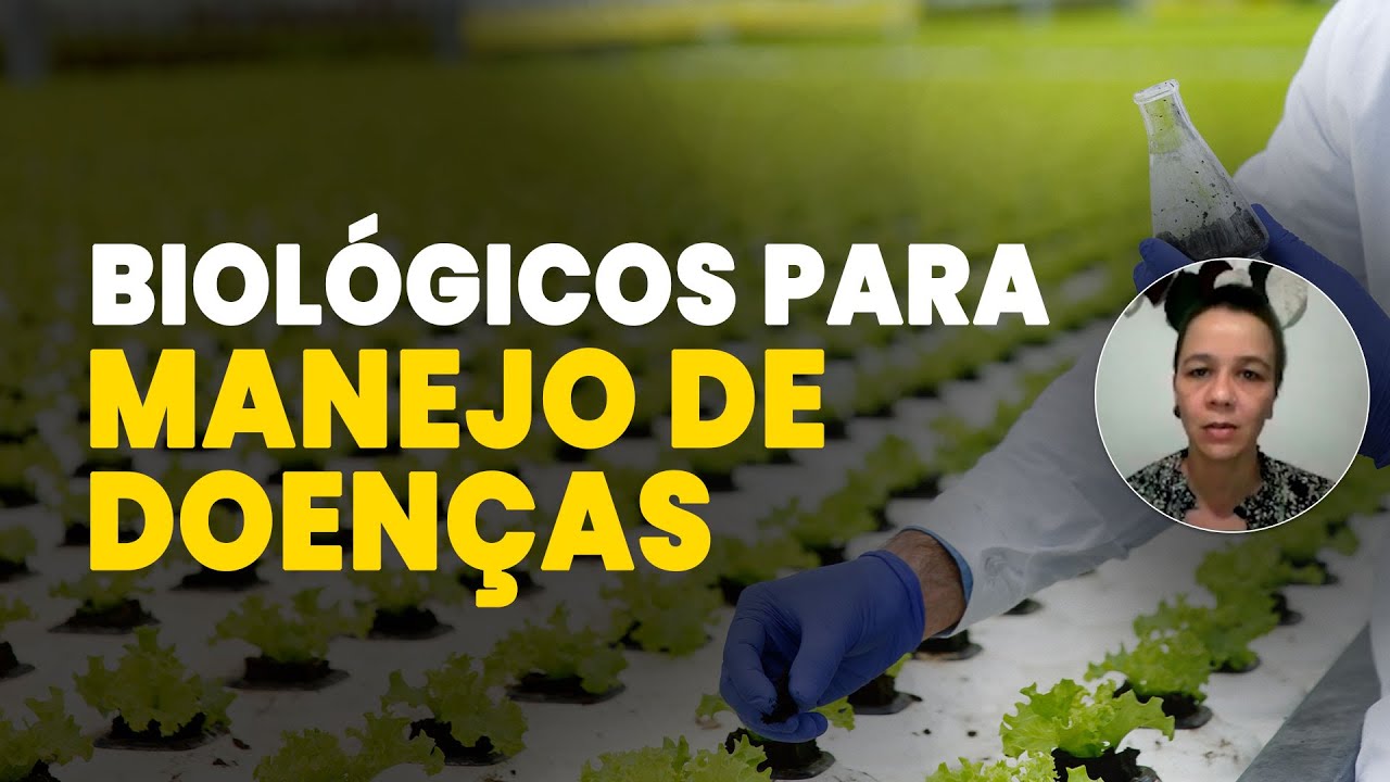 Insumos Biológicos: A Solução Sustentável Para Combater Doenças nas Plantas!