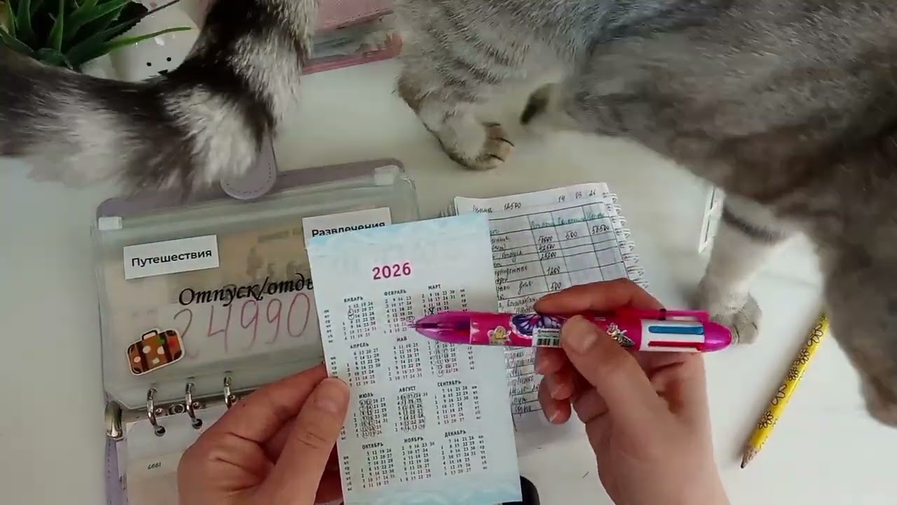 #11/2026 Распределение денежных средств по системе конвертов ✍🏻 - закрыла две цели 👍🏻