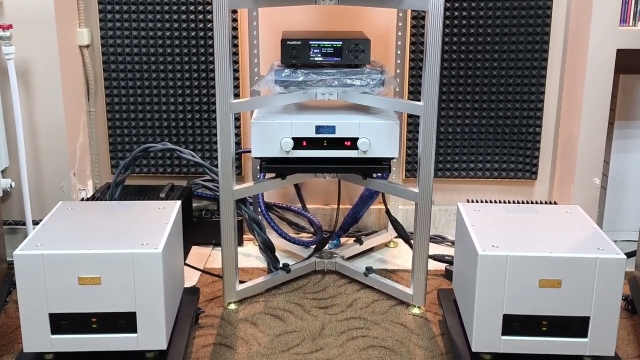 Goldmund Telos 600 + Goldmund Mimesis 27.8  (3)